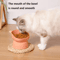 ComfortTilt Elevated Cat Bowls With AntiVomiting Raised Stand 1