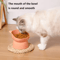 ComfortTilt Elevated Cat Bowls With AntiVomiting Raised Stand 1