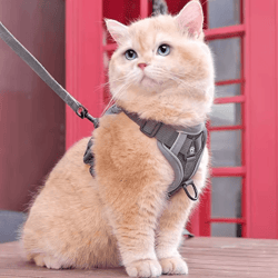 securefit anti-escape cat harness & leash set