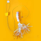 JumpCatch Automatic Hanging Cat Toy With Electric YoYo Motion 4