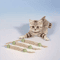 PurePurr Natural Catnip Dental Chew Stick For Cats 2