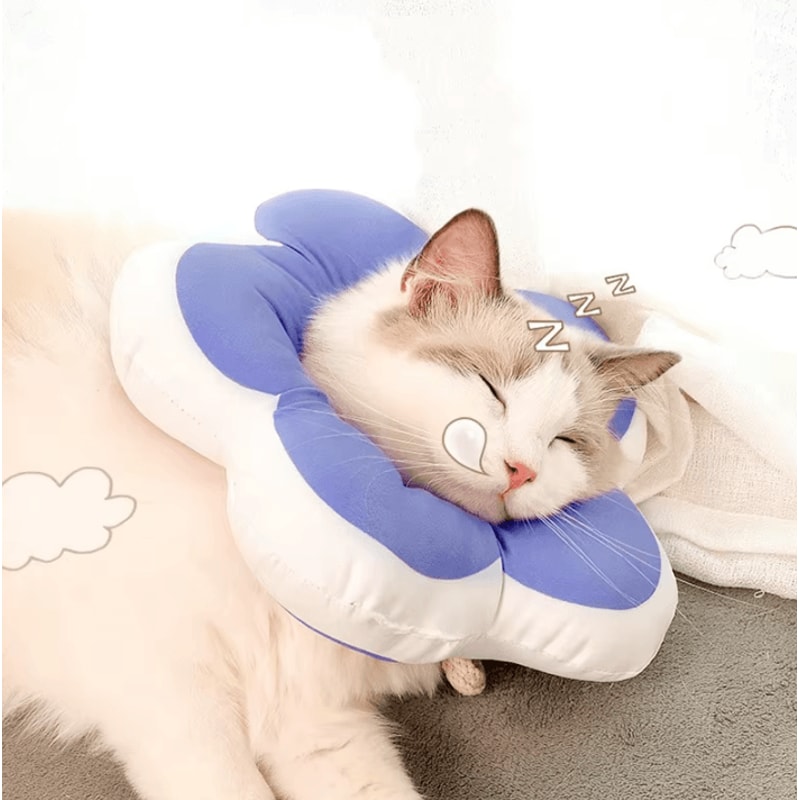SunnyShield Cat Recovery Grooming Flower Collar 1