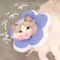 SunnyShield Cat Recovery Grooming Flower Collar 2