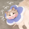 SunnyShield Cat Recovery Grooming Flower Collar 2