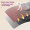 PawShield DoubleLayer Cat Litter Trap Mat 1