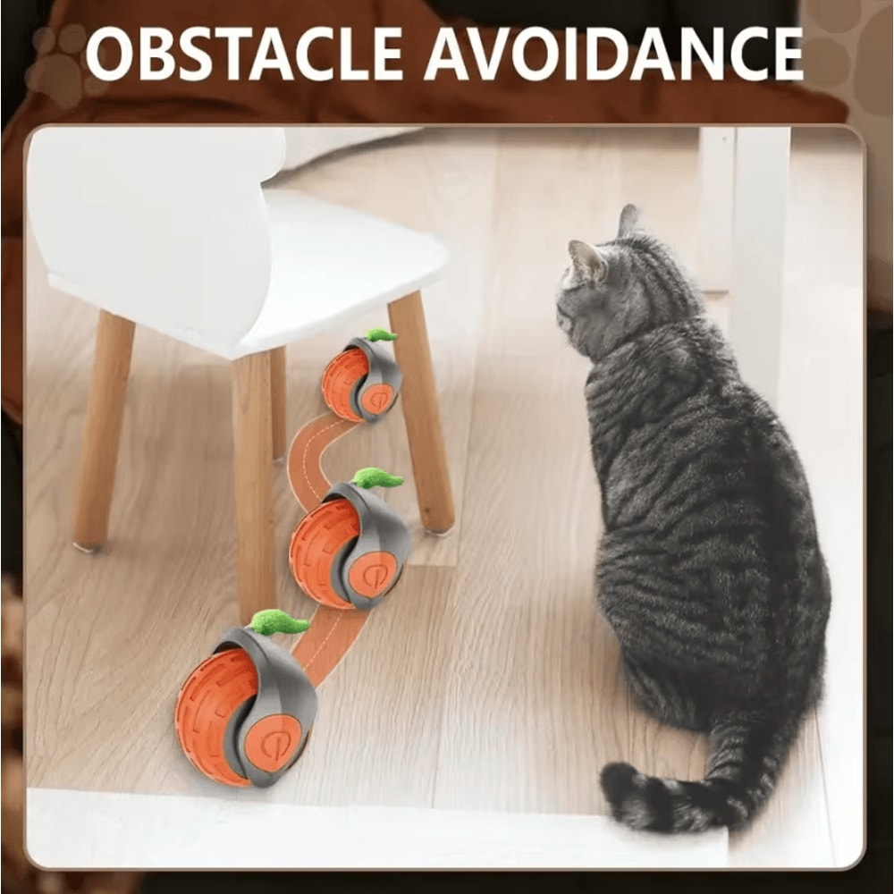 SpeedyTail 20 Motion Activated Rolling Cat Toy Ball 2