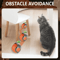 SpeedyTail 20 Motion Activated Rolling Cat Toy Ball 2