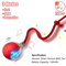 RollieTail Smart Interactive Rolling Ball Cat Toy 7