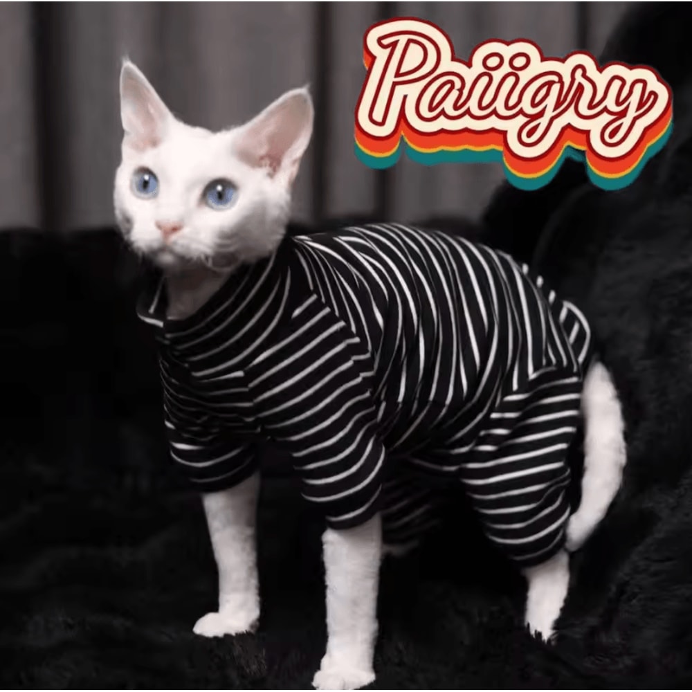 StretchFit Sphynx Cat Pajamas Warm FourLegged Pet Clothes 2