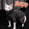 StretchFit Sphynx Cat Pajamas Warm FourLegged Pet Clothes 2