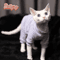 StretchFit Sphynx Cat Pajamas Warm FourLegged Pet Clothes 4