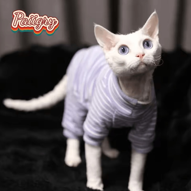 StretchFit Sphynx Cat Pajamas Warm FourLegged Pet Clothes 4