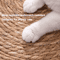 NaturWeave Rattan Cat Scratching Mat Furniture Protector 1