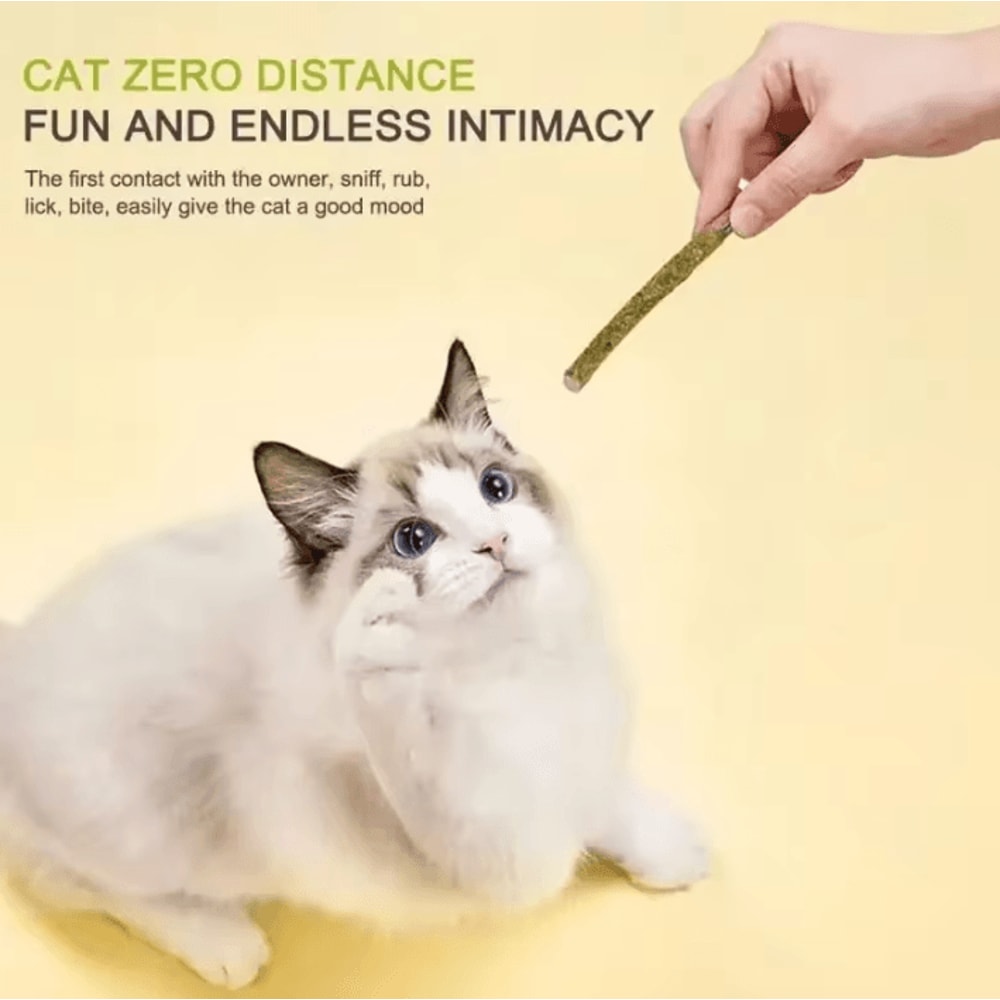 SilverVine FreshBite Matatabi Cat Chew Sticks For Teeth Cleaning Play 2
