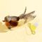 ChirpyBird Interactive Hanging Cat Teaser Toy With Catnip Feathers 5