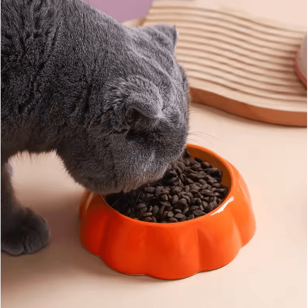 FruityPaws Ceramic Cat Bowl For Cats Small Dogs 2