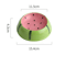 FruityPaws Ceramic Cat Bowl For Cats Small Dogs 5