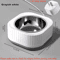 WarmSip ConstantTemperature Pet Heating Bowl For Cats Small Dogs 11