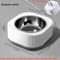WarmSip ConstantTemperature Pet Heating Bowl For Cats Small Dogs 11