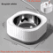 WarmSip ConstantTemperature Pet Heating Bowl For Cats Small Dogs 7