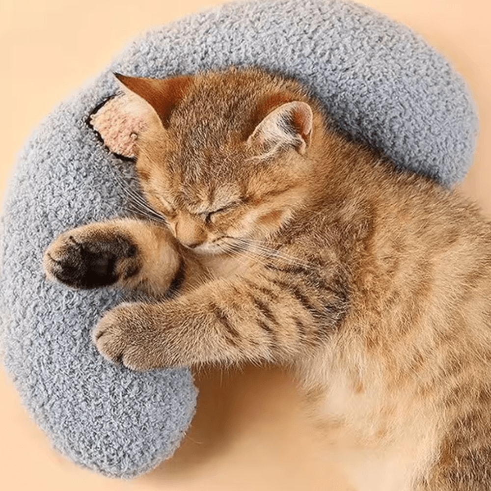 CloudNest UltraSoft Calming Cat Pillow Bed For Cozy Sleep Joint Support 0