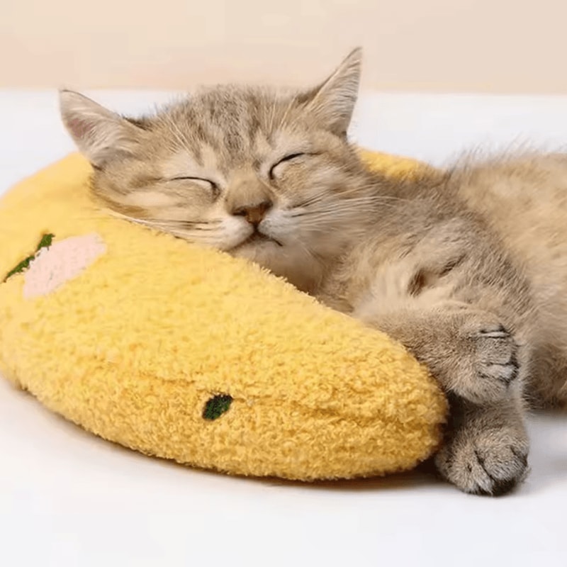 CloudNest UltraSoft Calming Cat Pillow Bed For Cozy Sleep Joint Support 2