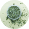 PurePurr Organic Natural Catnip Cat Grass Interactive Cat Toy 2