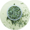 PurePurr Organic Natural Catnip Cat Grass Interactive Cat Toy 2