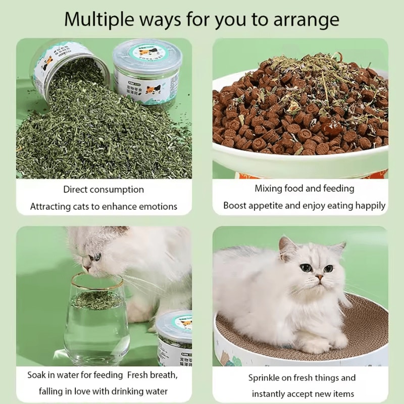 PurePurr Organic Natural Catnip Cat Grass Interactive Cat Toy 3