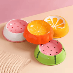fruitypaws ceramic pet bowl for cats & small dogs