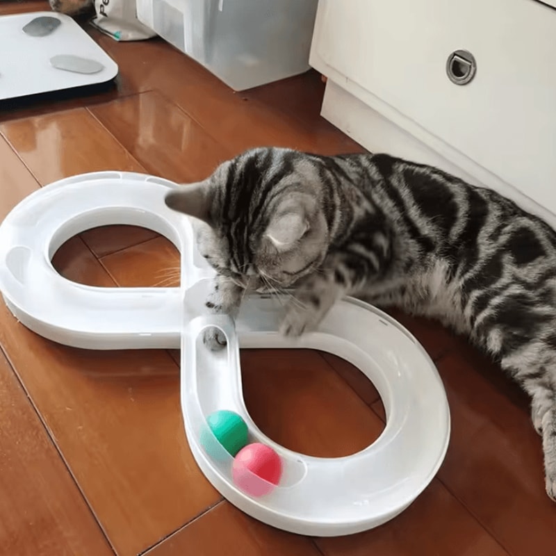 SpinChase Interactive Track Ball Cat Toy With Spinner Disk 0