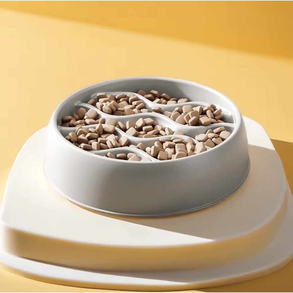 SlowPaws AntiSplash Slow Feeder Cat Bowl Set For Healthier Eating 2