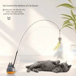 spinwhisk 360° rotating cat teaser toy with bell & dragon totoro design