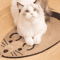 EcoScratch Natural Sisal Cat Scratching Mat For Indoor Cats 2