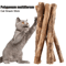 NatureChew Catnip Polygonum Chew Sticks For Teeth Cleaning Play 1