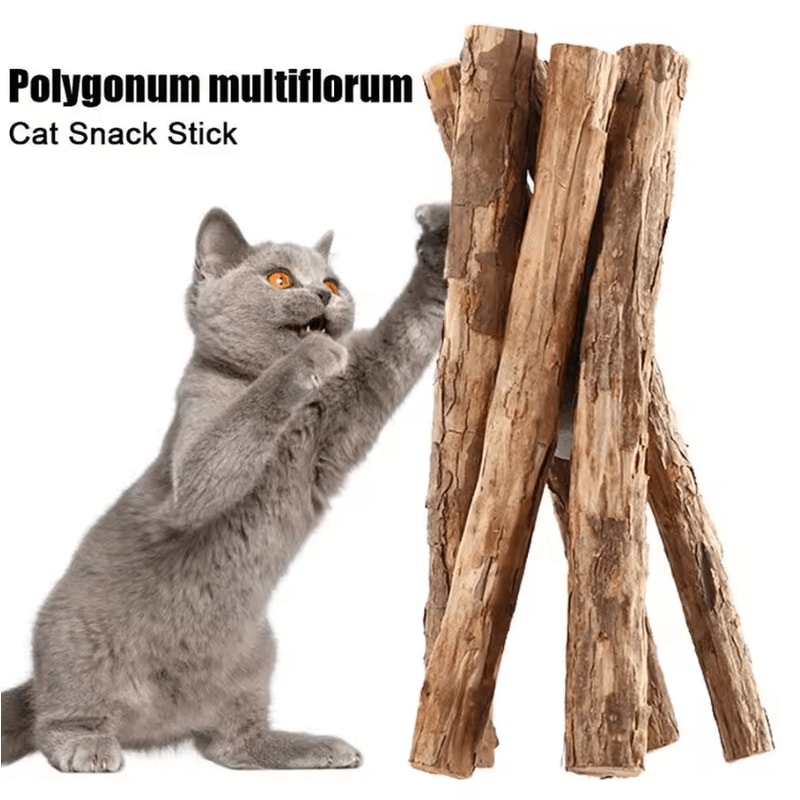 NatureChew Catnip Polygonum Chew Sticks For Teeth Cleaning Play 1