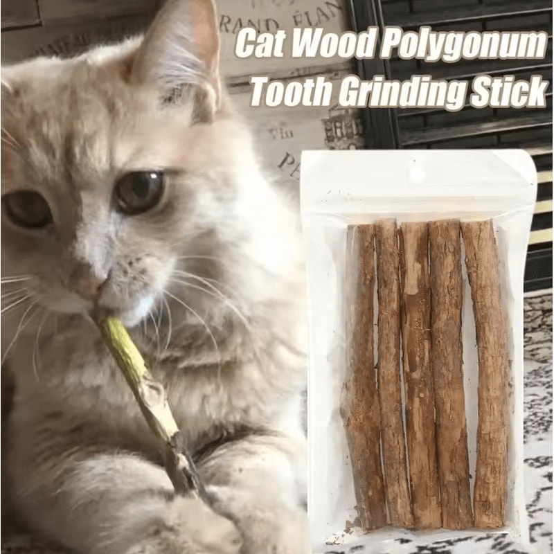 NatureChew Catnip Polygonum Chew Sticks For Teeth Cleaning Play 2