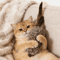 Fluffy Bunny Fur Cat Kicker Toy Interactive Plush Hunting Toy For Indoor Cats 2