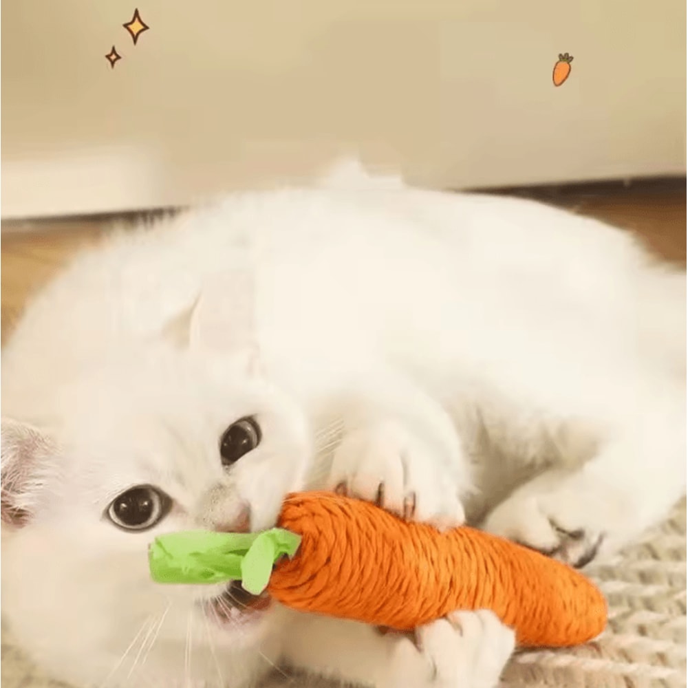 Crunchy Carrot Cat Teething Toy Interactive Sound Cuddle Stick For Chewing Play 1