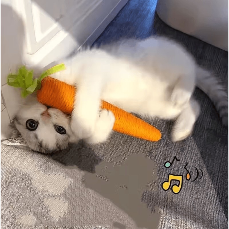 Crunchy Carrot Cat Teething Toy Interactive Sound Cuddle Stick For Chewing Play 2