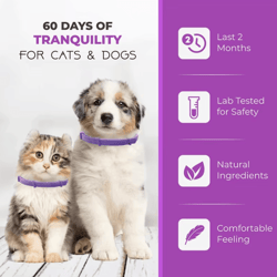 calmpaws 3-pack cat pheromone collars – adjustable anxiety relief collar for stress-free comfort