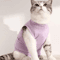 ComfortCare Cat Recovery Suit Soft AntiLicking PostSurgery Recovery Jumpsuit 2