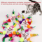 FeatherMouse Mini Cat Toy Set Colorful Interactive Hunting Toys For Kittens Cats 0