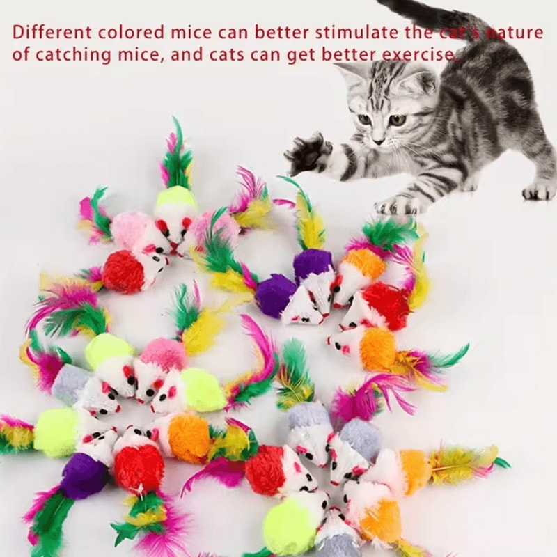 FeatherMouse Mini Cat Toy Set Colorful Interactive Hunting Toys For Kittens Cats 0