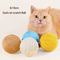 Sisal Crunch Scratching Ball Interactive Cat Toy For Chewing Scratching Dental Play 0