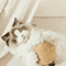 Sisal Crunch Scratching Ball Interactive Cat Toy For Chewing Scratching Dental Play 1