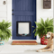 SecurePass 4Way Locking Pet Door Transparent Cat Puppy Flap For Easy Indoor Outdoor Access 2