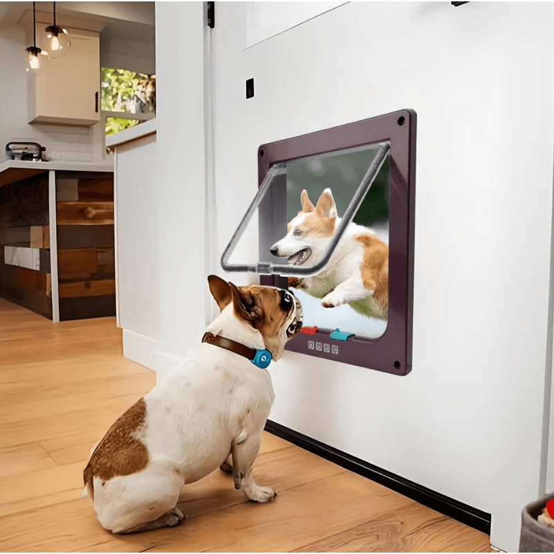 SecurePass 4Way Locking Pet Door Transparent Cat Puppy Flap For Easy Indoor Outdoor Access 3