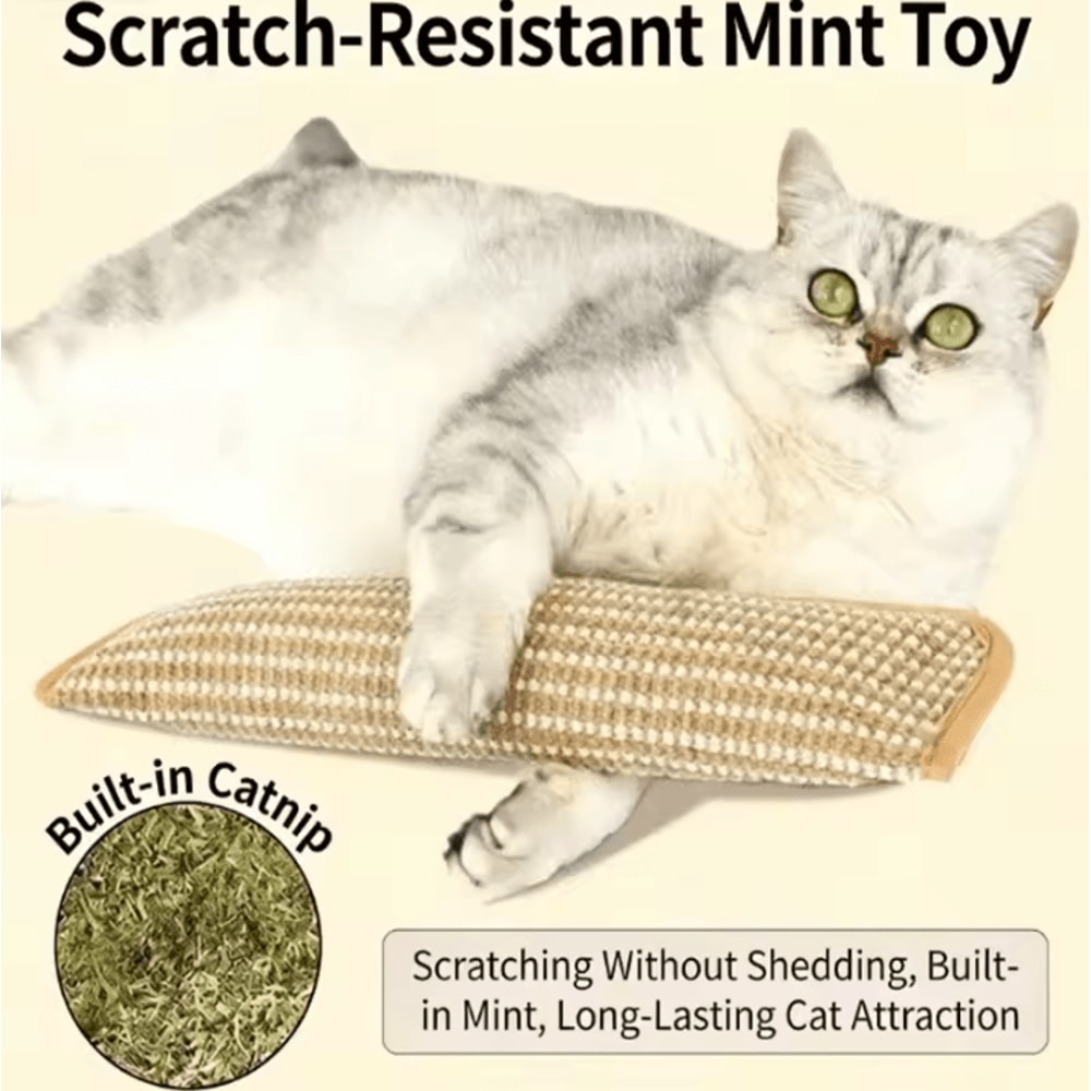 Catnip Scratch Chew Pillow Interactive Cat Scratcher Toy For Claw Care Play 0