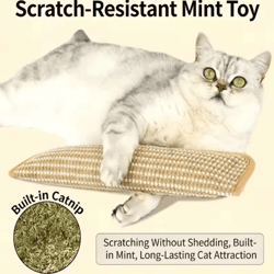 catnip scratch & chew pillow – interactive cat scratcher toy for claw care & play